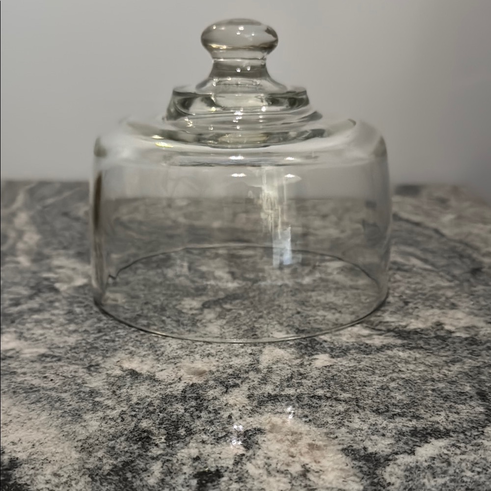 Glass Cloche Display Dome 6.5 wide x 5.5 high